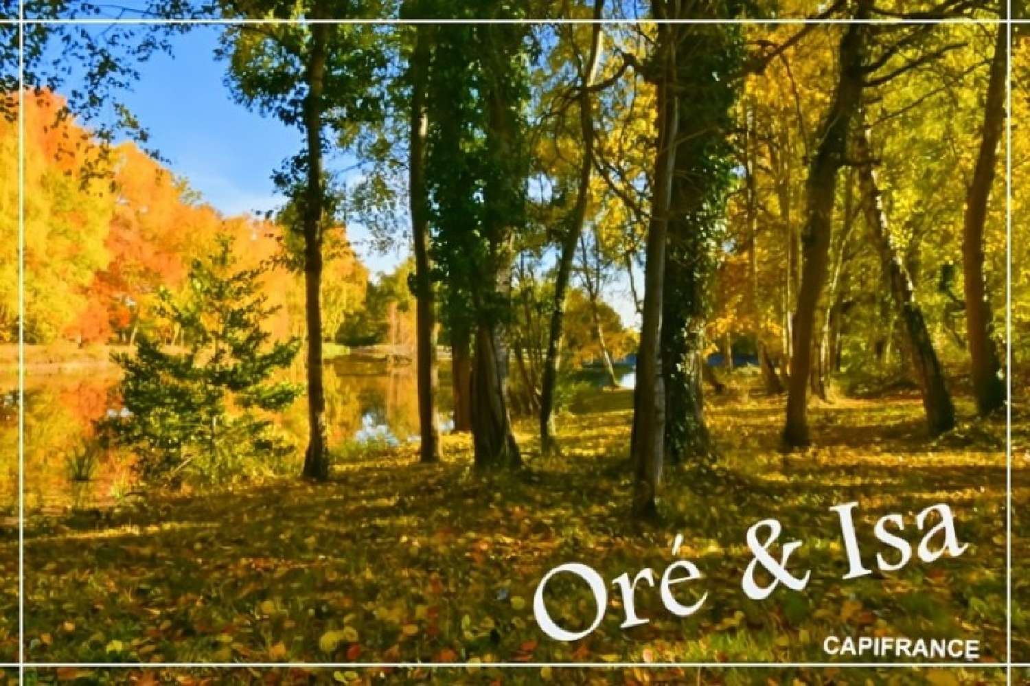  for sale terrain Saint-Désiré Allier 6