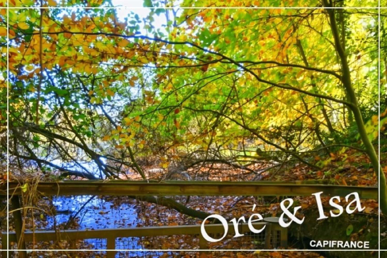  for sale terrain Saint-Désiré Allier 7