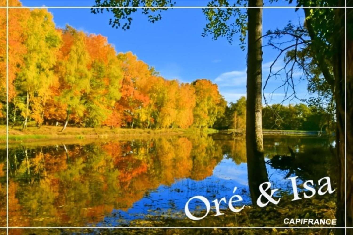  for sale terrain Saint-Désiré Allier 8