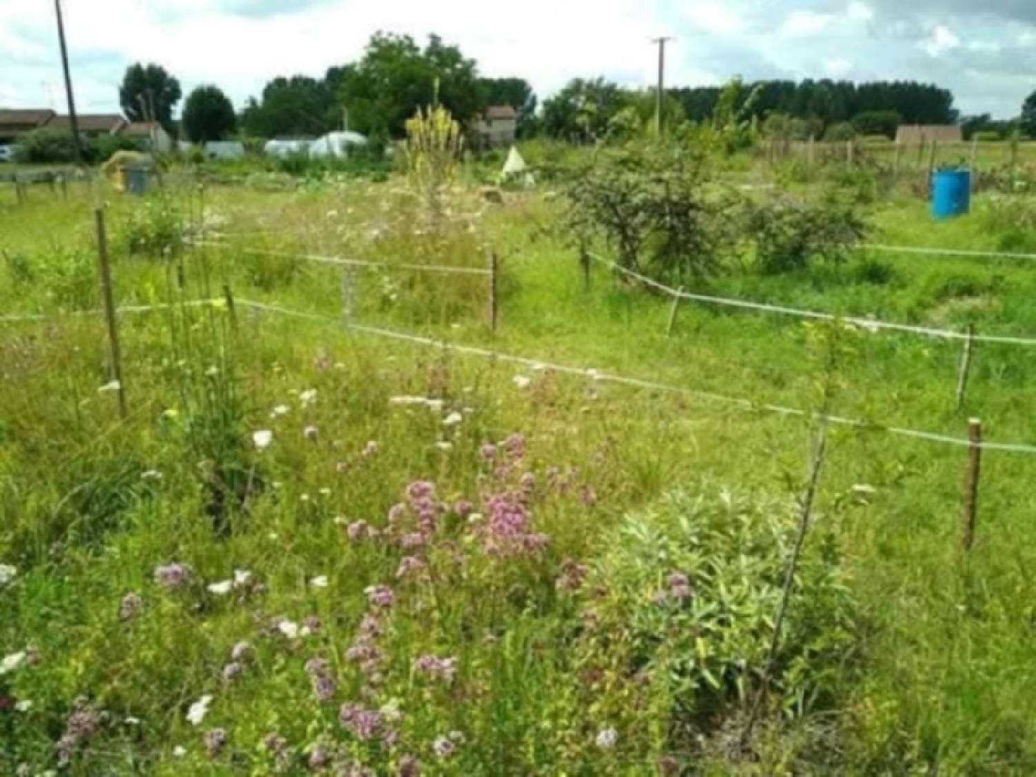  te koop terrein Saint-Front-de-Pradoux Dordogne 1