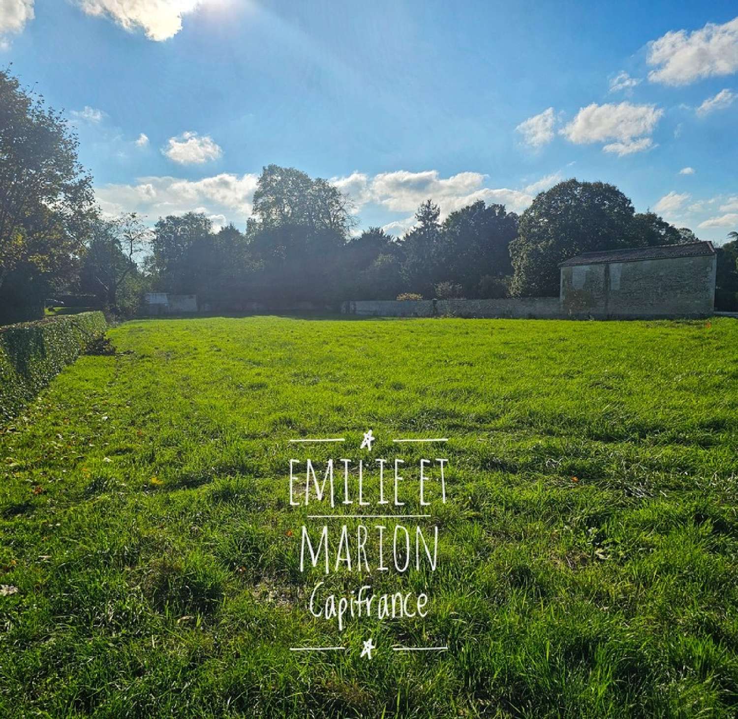 kaufen Grundstück Saint-Georges-du-Bois Charente-Maritime 2