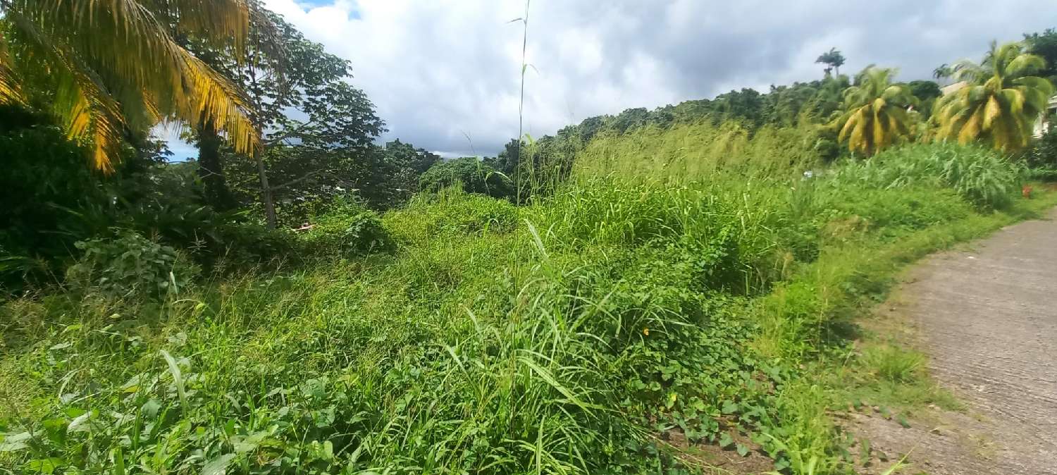 à vendre terrain Saint-Joseph Manche 2