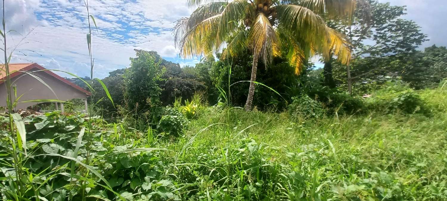 à vendre terrain Saint-Joseph Manche 3