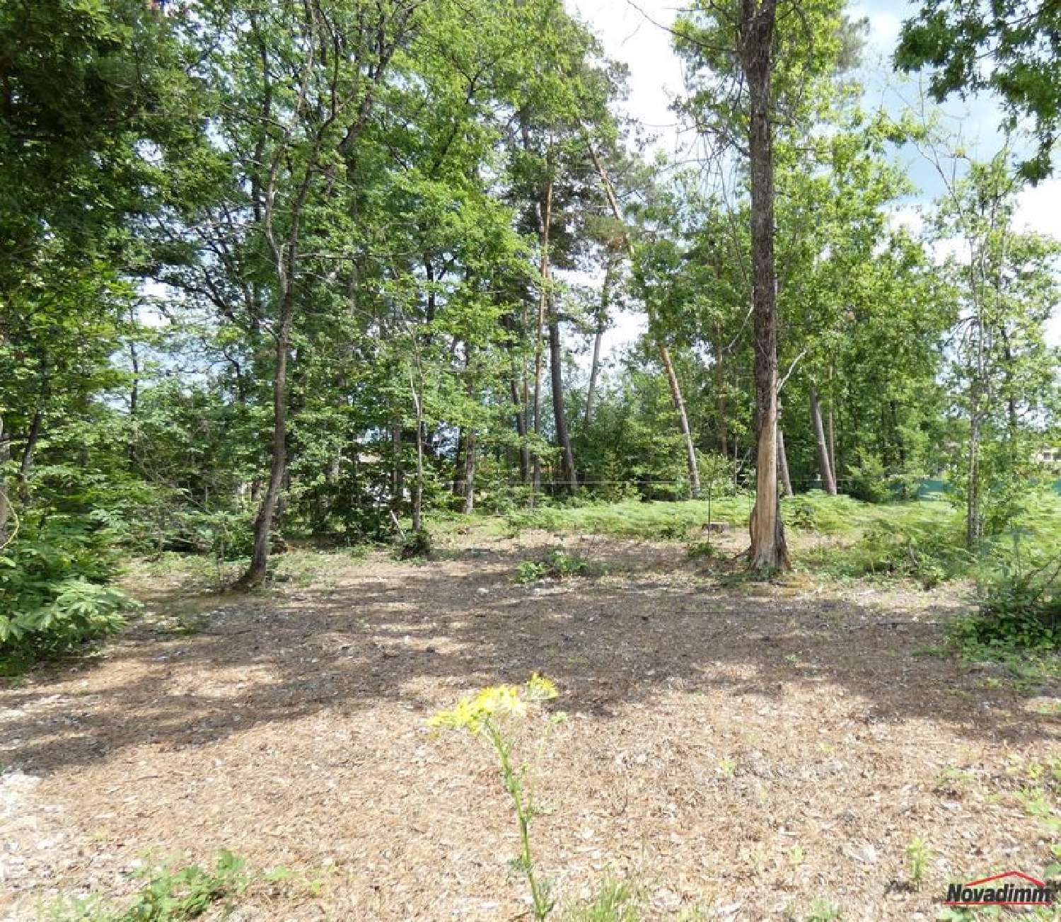  à vendre terrain Saint-Léon-sur-l'Isle Dordogne 1