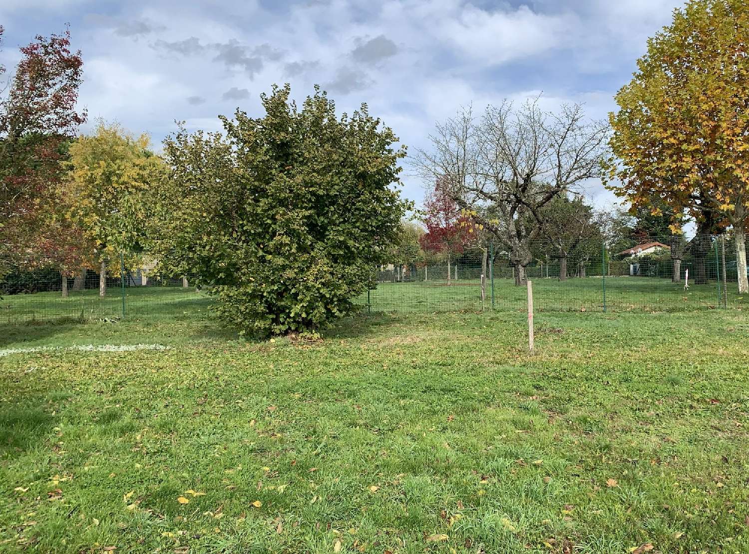  for sale terrain Saint-Loup Rhône 1