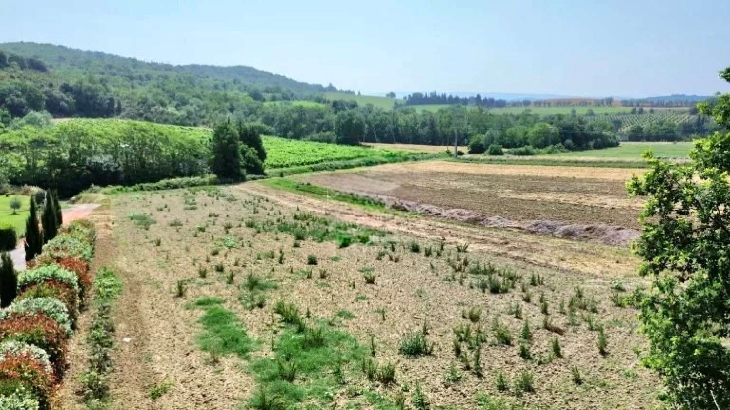  à vendre terrain Saint-Martin-de-Villereglan Aude 1