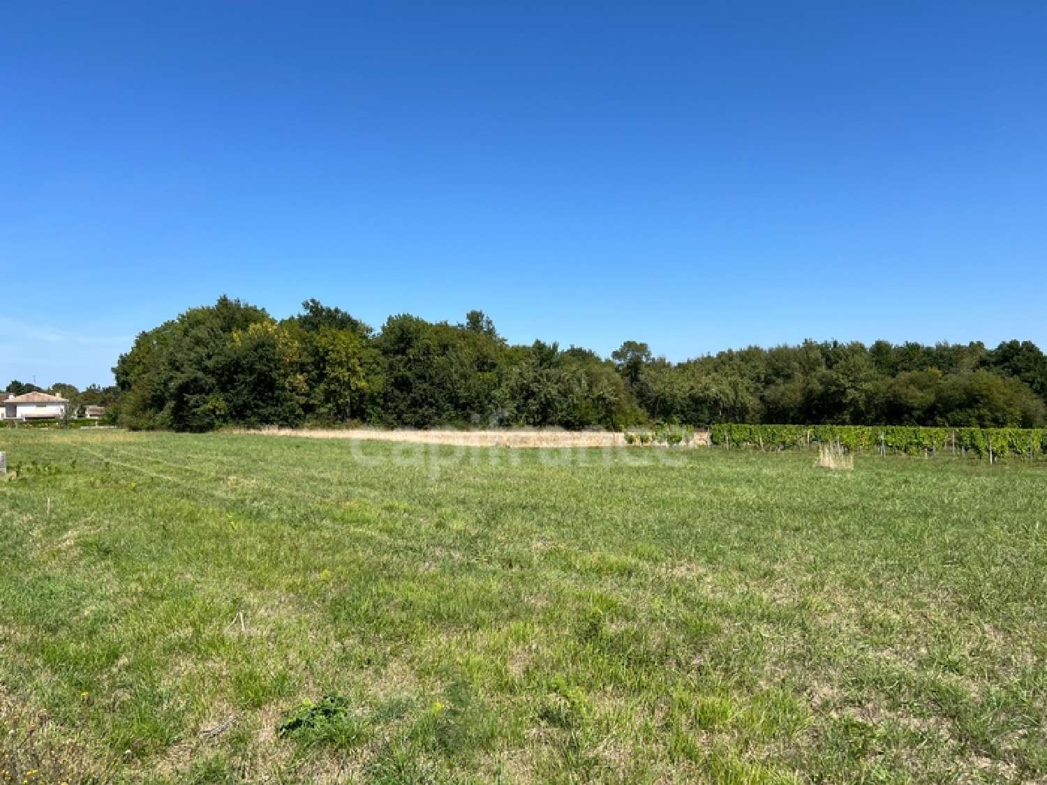 te koop terrein Saint-Palais-de-Négrignac Charente-Maritime 2