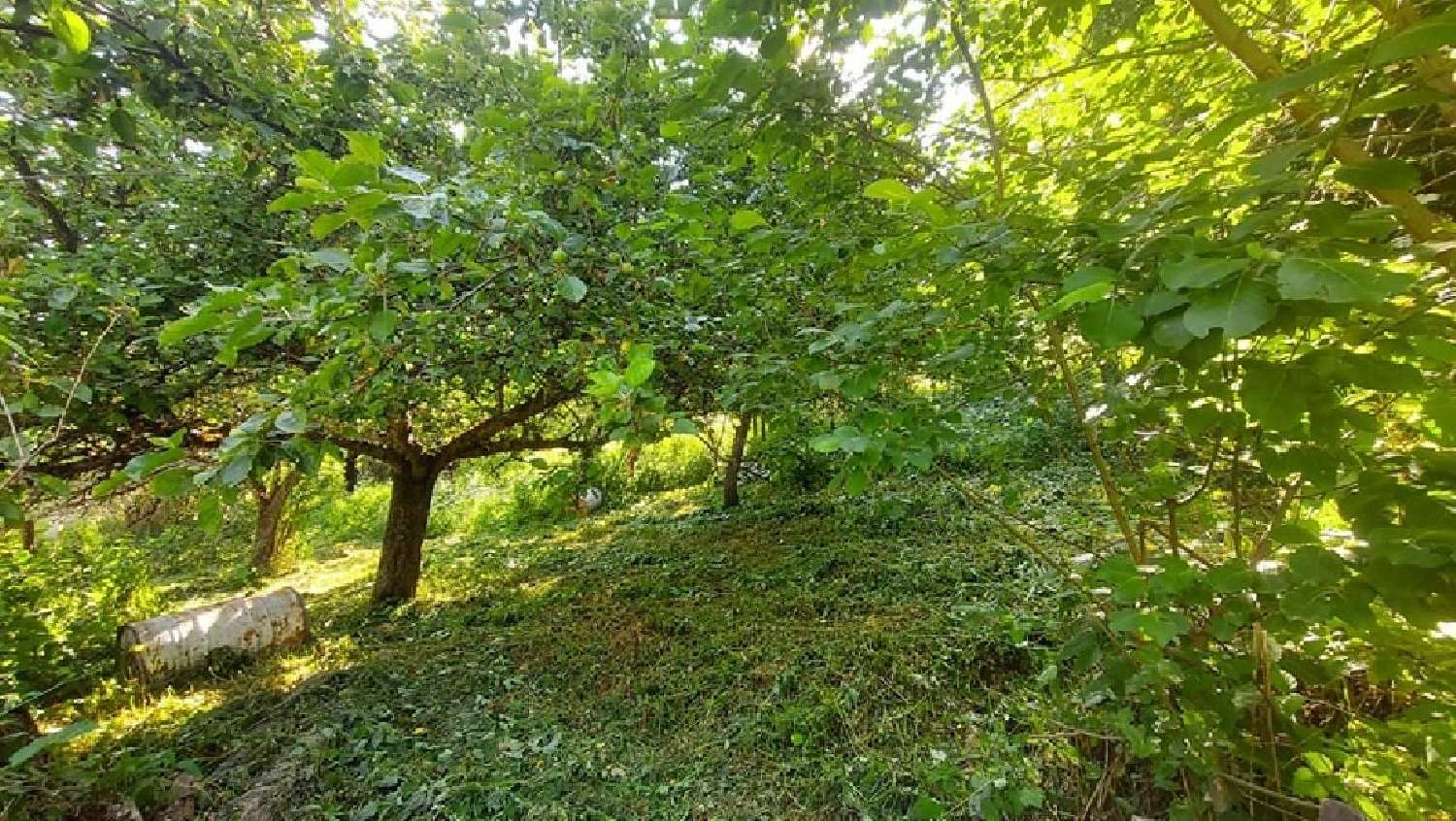  te koop terrein Saint-Pierre-de-Chérennes Isère 1