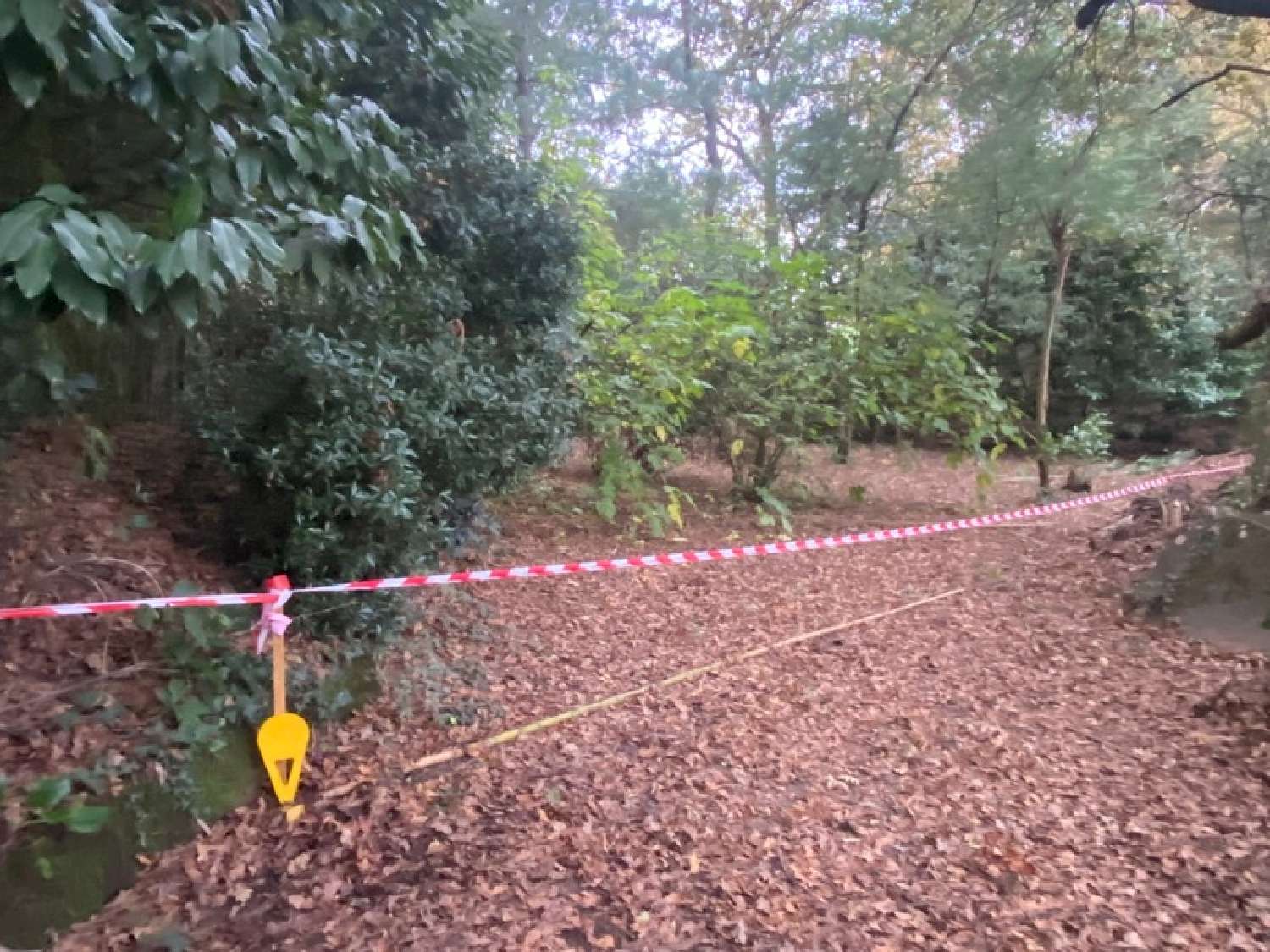  for sale terrain Saint-Pierre-du-Mont Landes 2