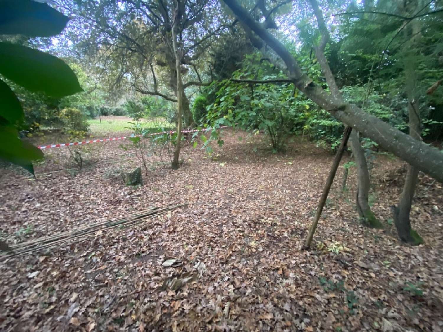  for sale terrain Saint-Pierre-du-Mont Landes 3