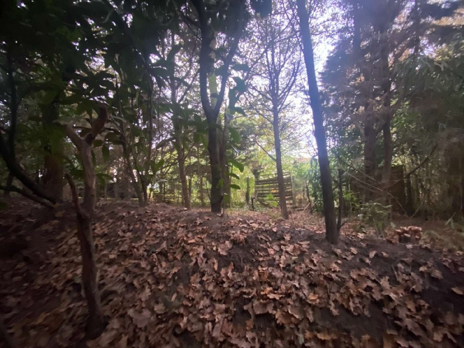  for sale terrain Saint-Pierre-du-Mont Landes 4