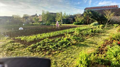 Saint-Pompain Deux-Sèvres terrain foto 7211207