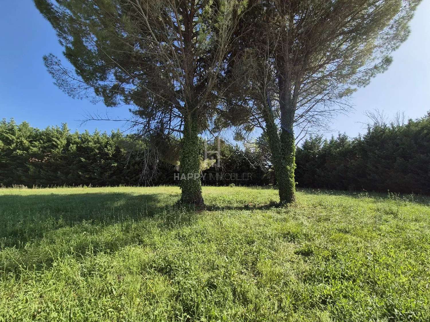  à vendre terrain Saint-Rémy-de-Provence Bouches-du-Rhône 1