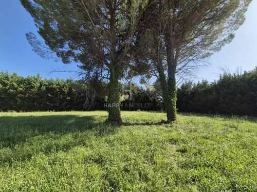 Saint-Rémy-de-Provence Bocas del Ródano terreno foto 7193768