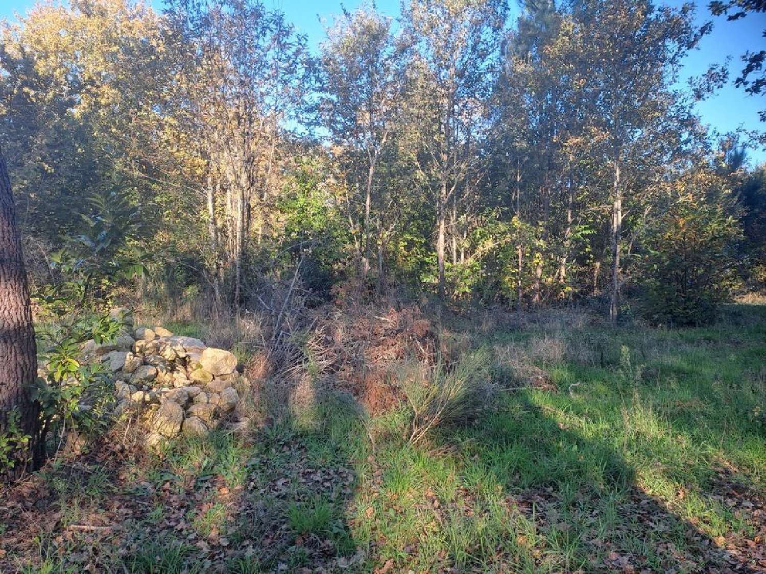  kaufen Grundstück Saint-Sauveur Gironde 1