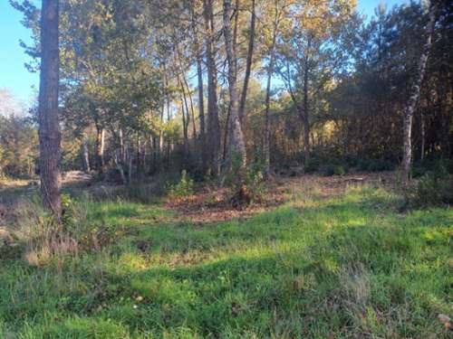 Saint-Sauveur Gironde terrain foto 7196222