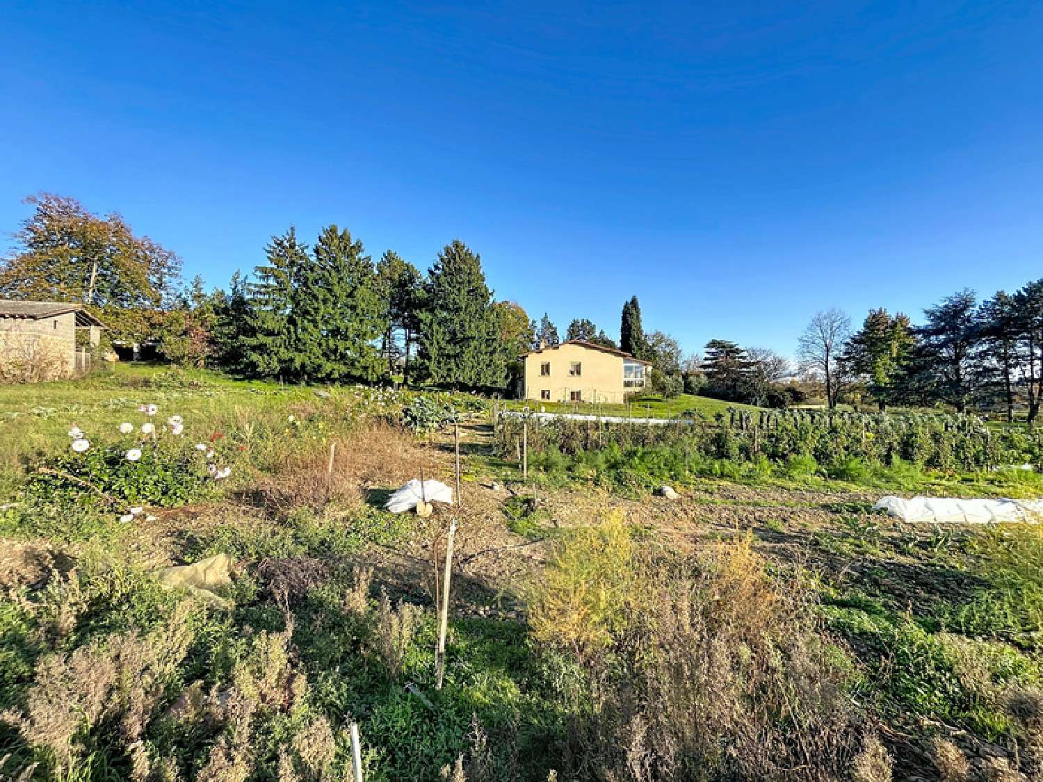 for sale terrain Saint-Uze Drôme 3
