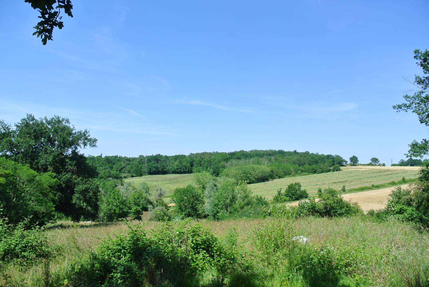  for sale terrain Sainte Bazeille Lot-et-Garonne 1