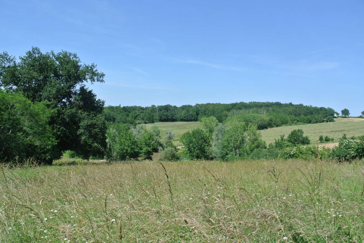  for sale terrain Sainte Bazeille Lot-et-Garonne 2