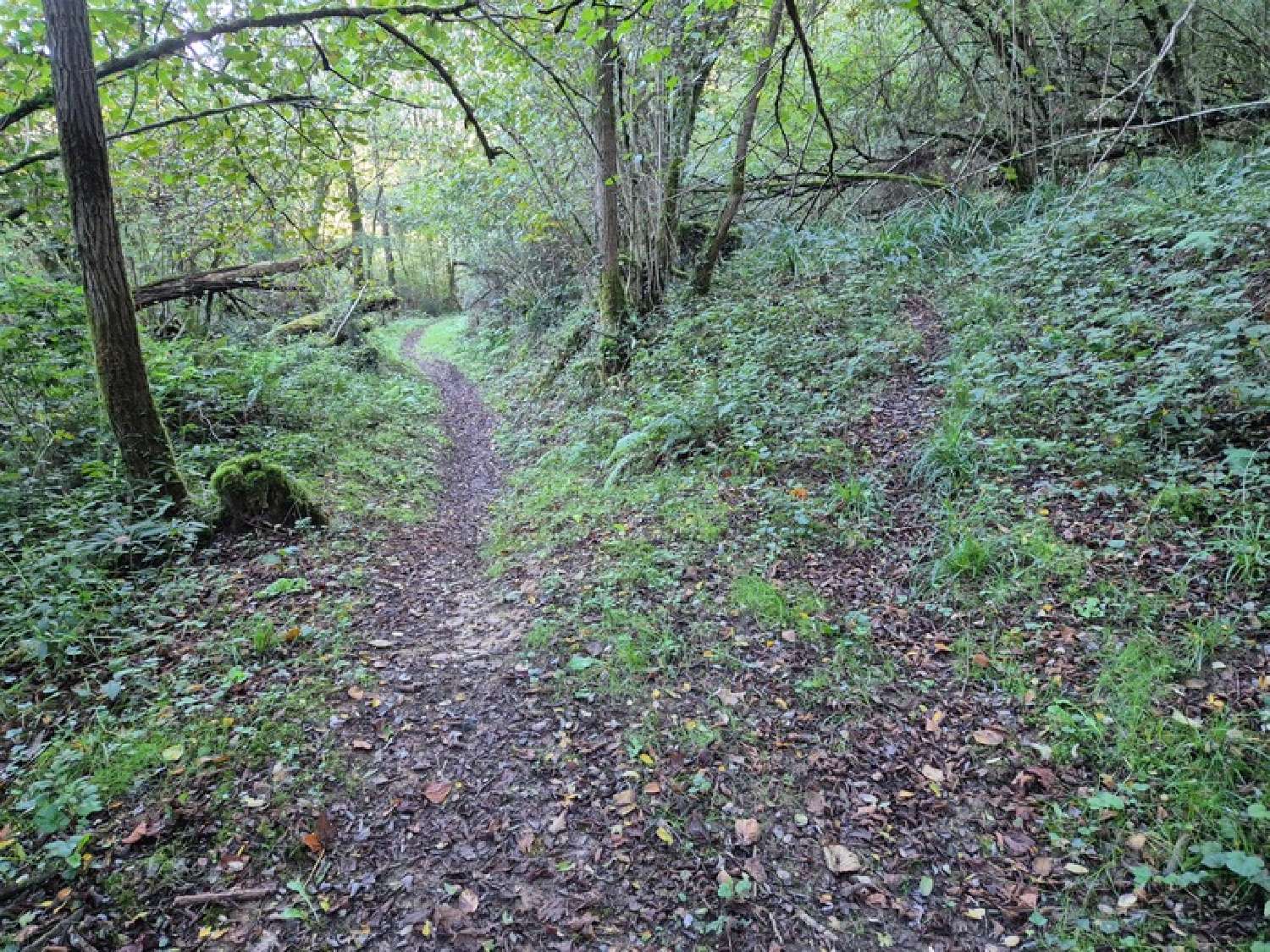 for sale terrain Salies-de-Béarn Pyrénées-Atlantiques 3
