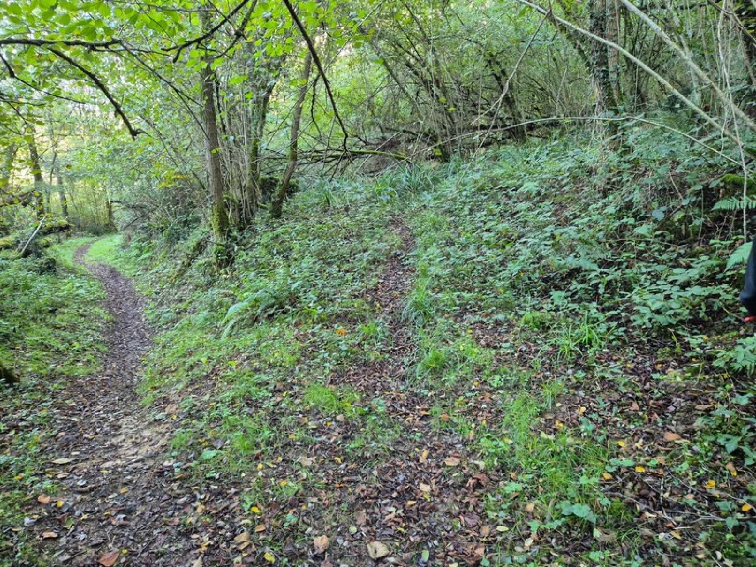  à vendre terrain Salies-de-Béarn Pyrénées-Atlantiques 5