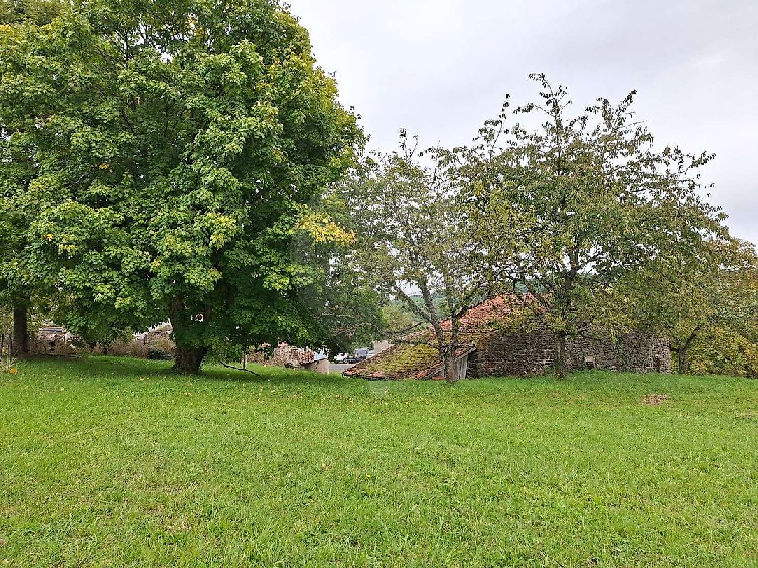 à vendre terrain Sallèdes Puy-de-Dôme 3