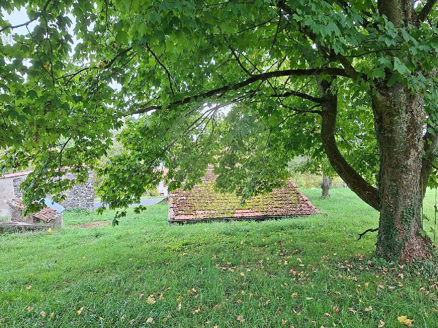 à vendre terrain Sallèdes Puy-de-Dôme 4