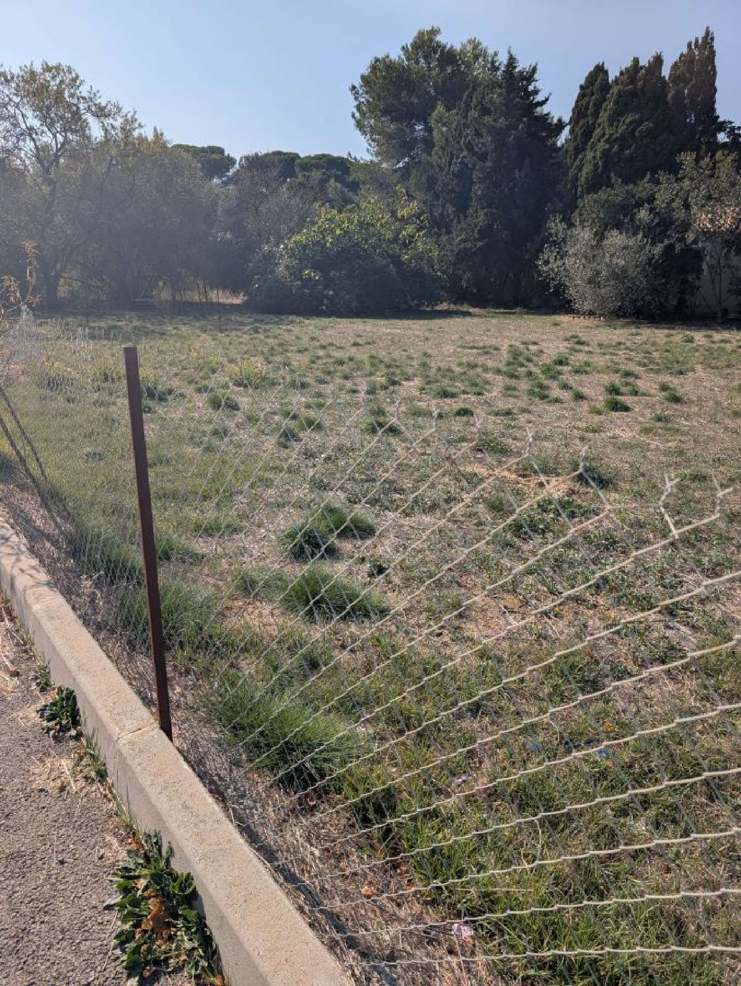 te koop terrein Sallèles-d'Aude Aude 3