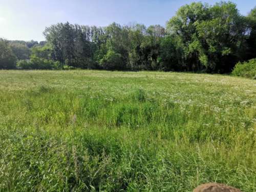 Sermaise Essonne terrein foto 7175549