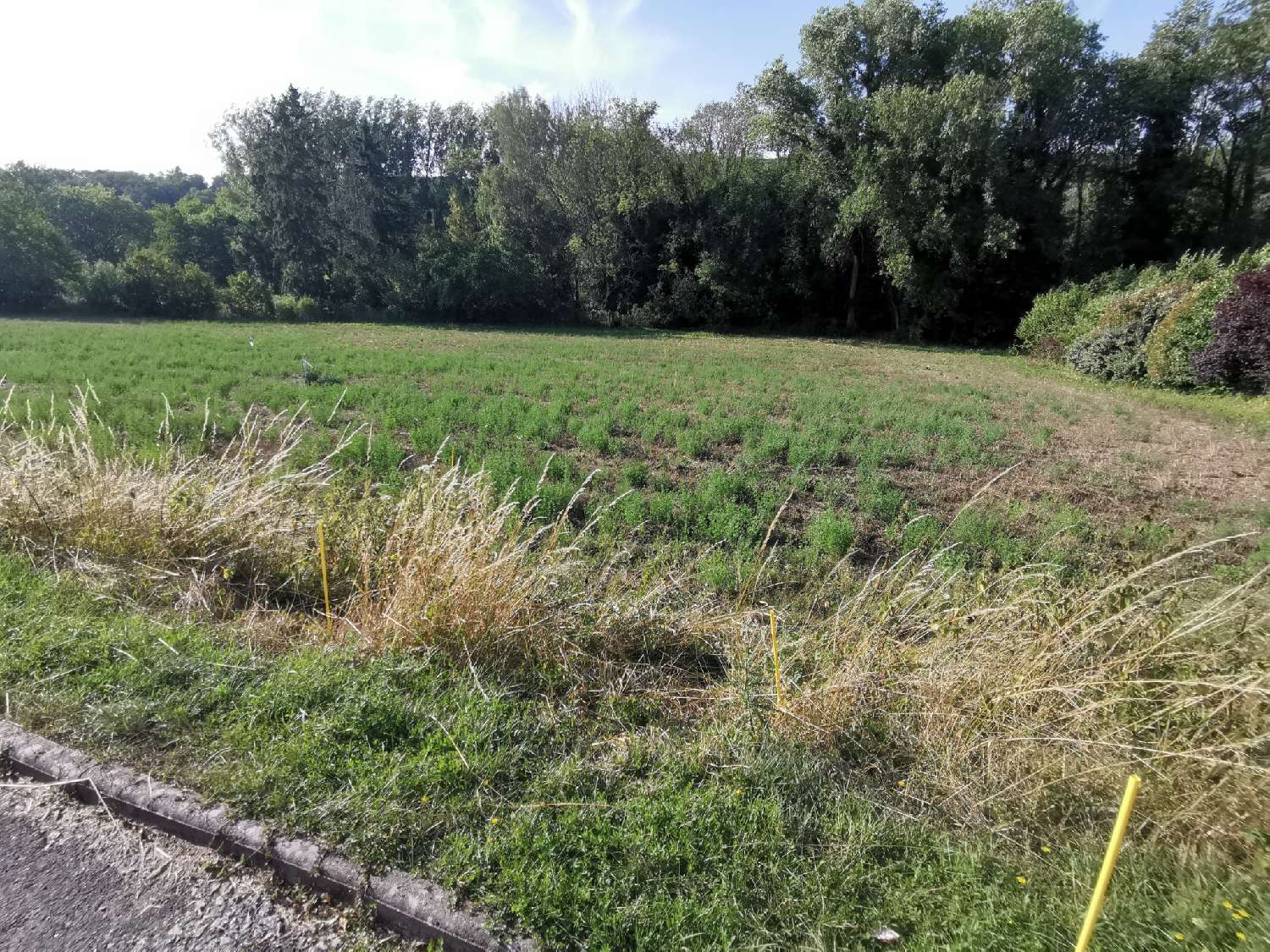  te koop terrein Sermaise Essonne 3