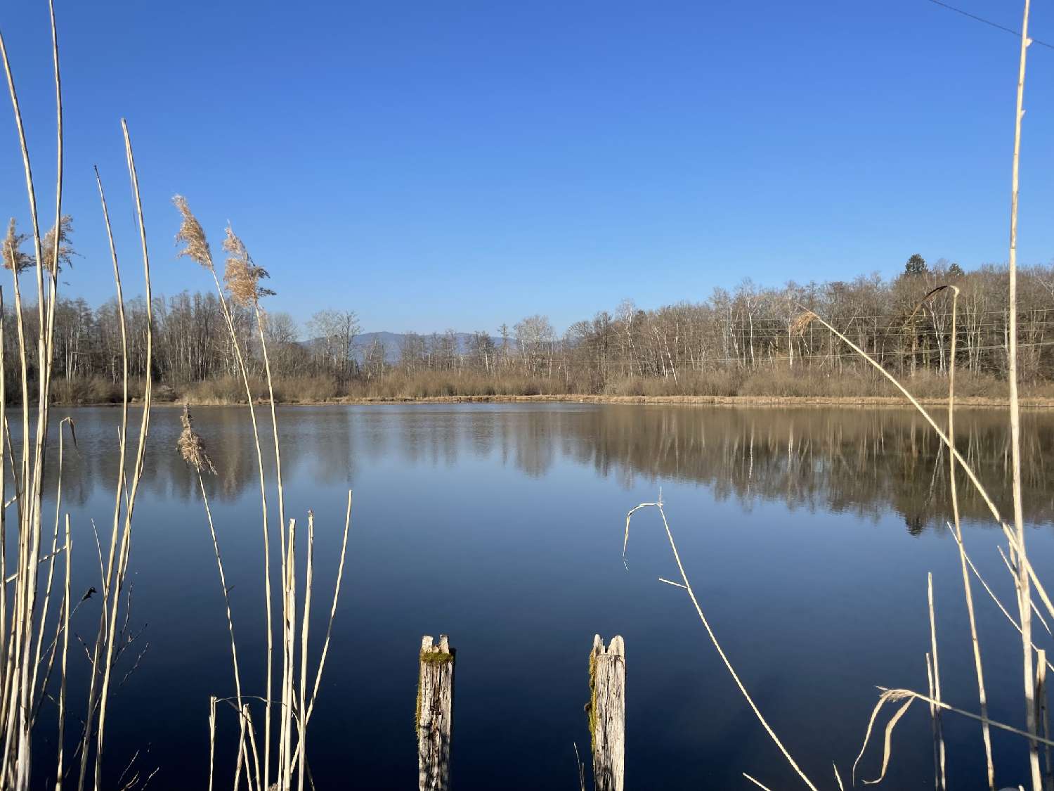  te koop terrein Sermamagny Territoire de Belfort 3