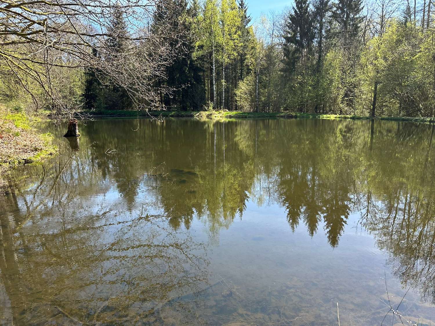 te koop terrein Servance Haute-Saône 1