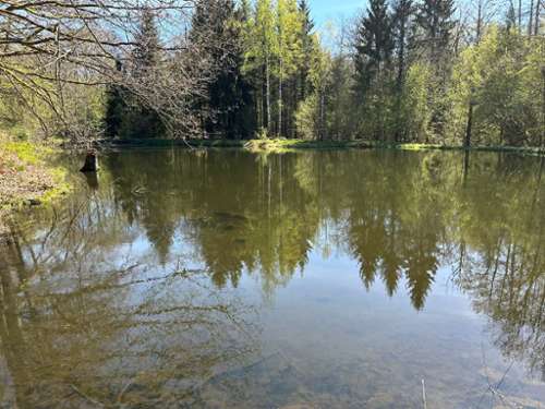 Servance Haute-Saône terreno foto 7181581