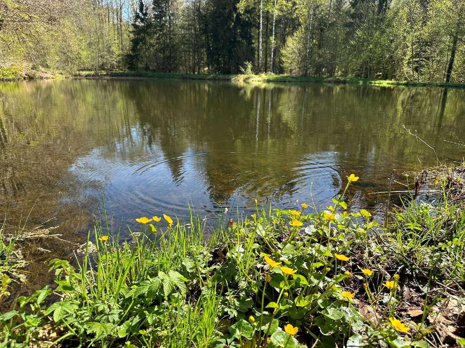 te koop terrein Servance Haute-Saône 2