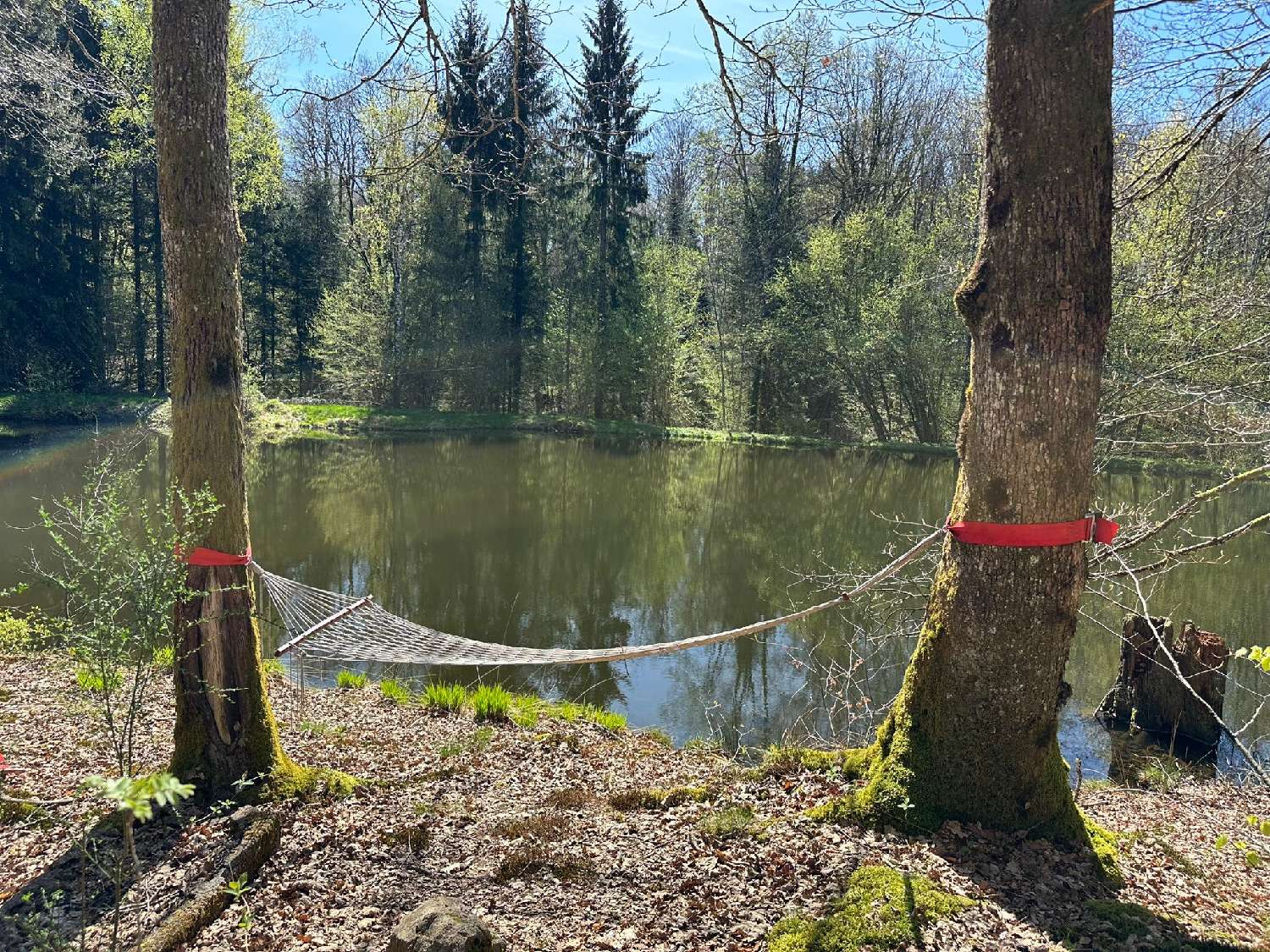 te koop terrein Servance Haute-Saône 6