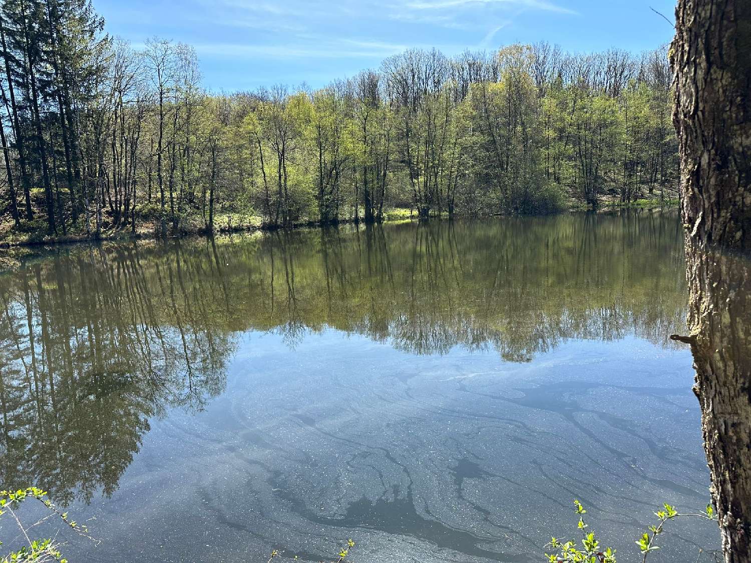 te koop terrein Servance Haute-Saône 7