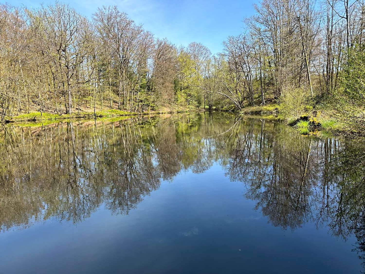 te koop terrein Servance Haute-Saône 2