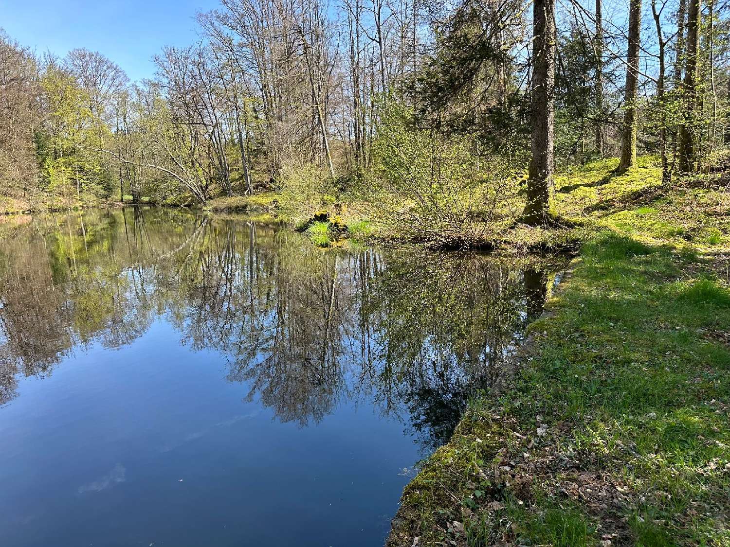 te koop terrein Servance Haute-Saône 3