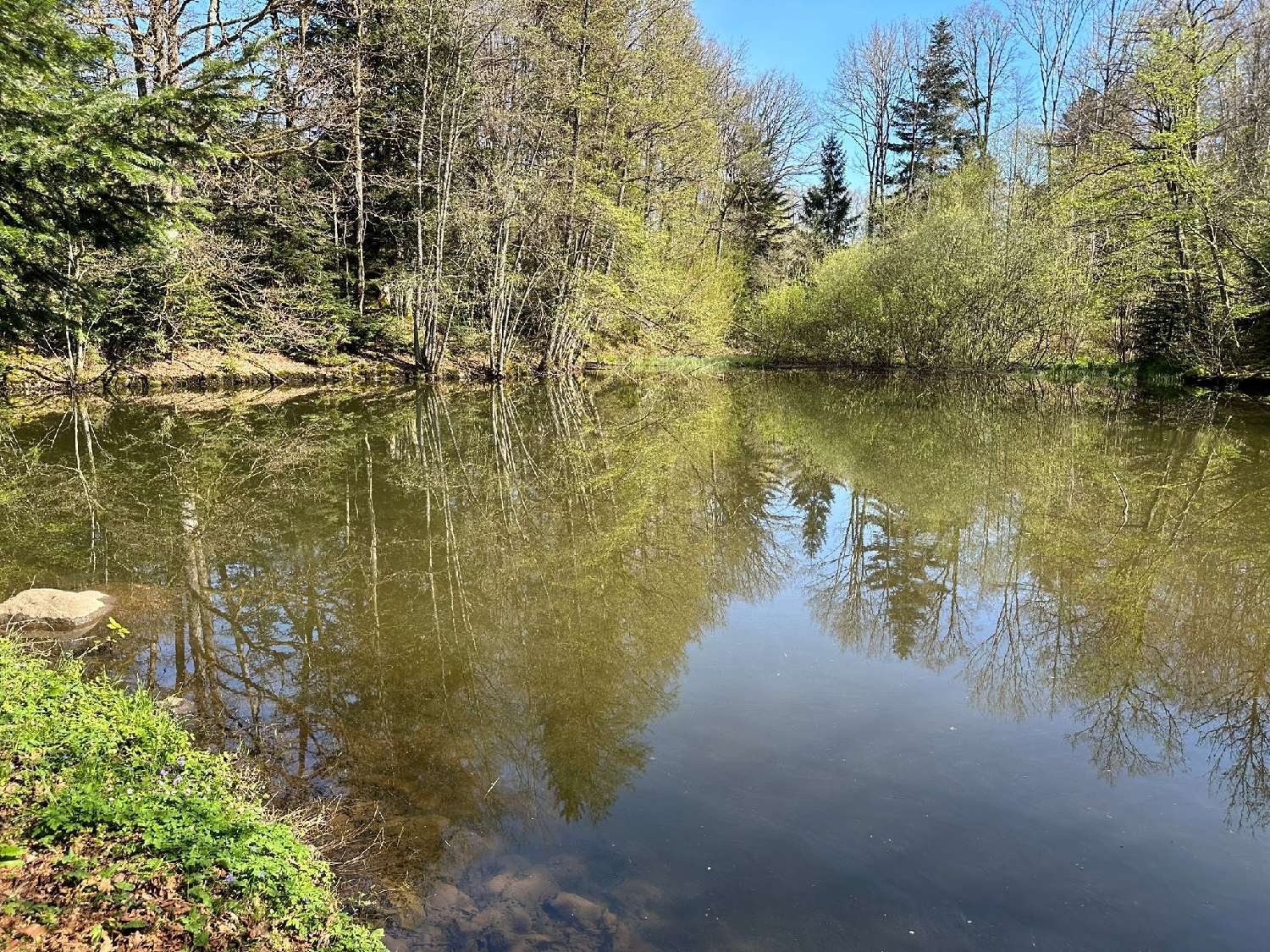 te koop terrein Servance Haute-Saône 1