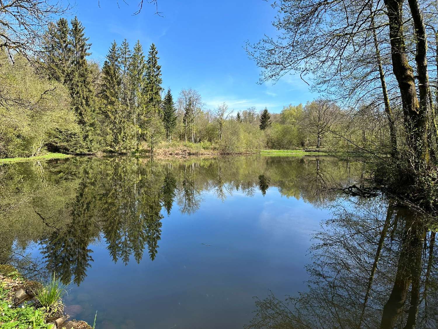 te koop terrein Servance Haute-Saône 1