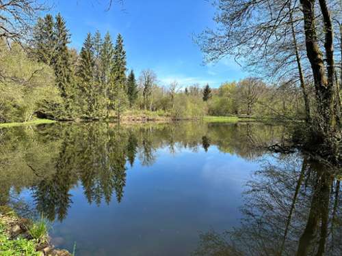 Servance Haute-Saône terreno foto 7181584