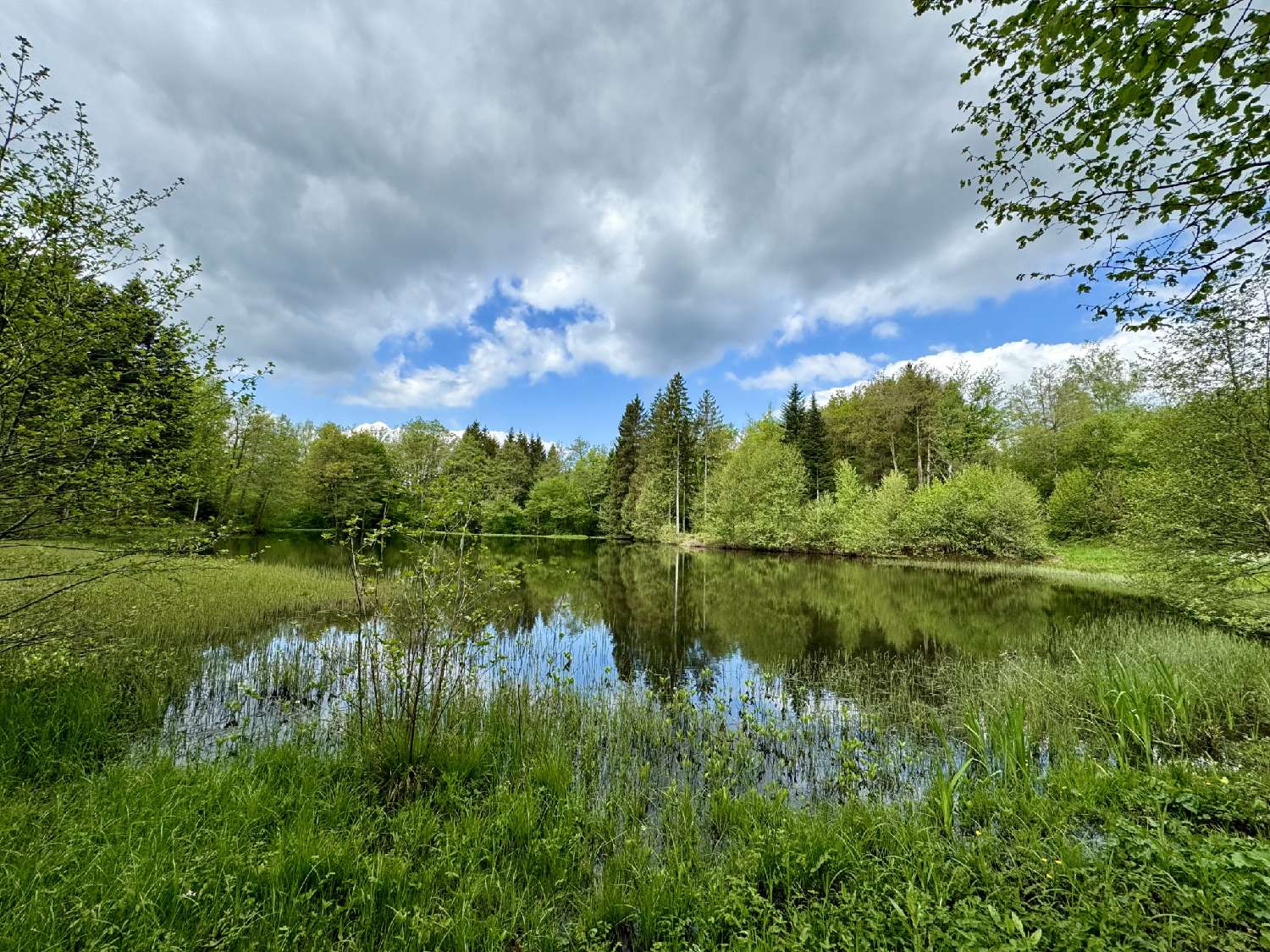 te koop terrein Servance Haute-Saône 5
