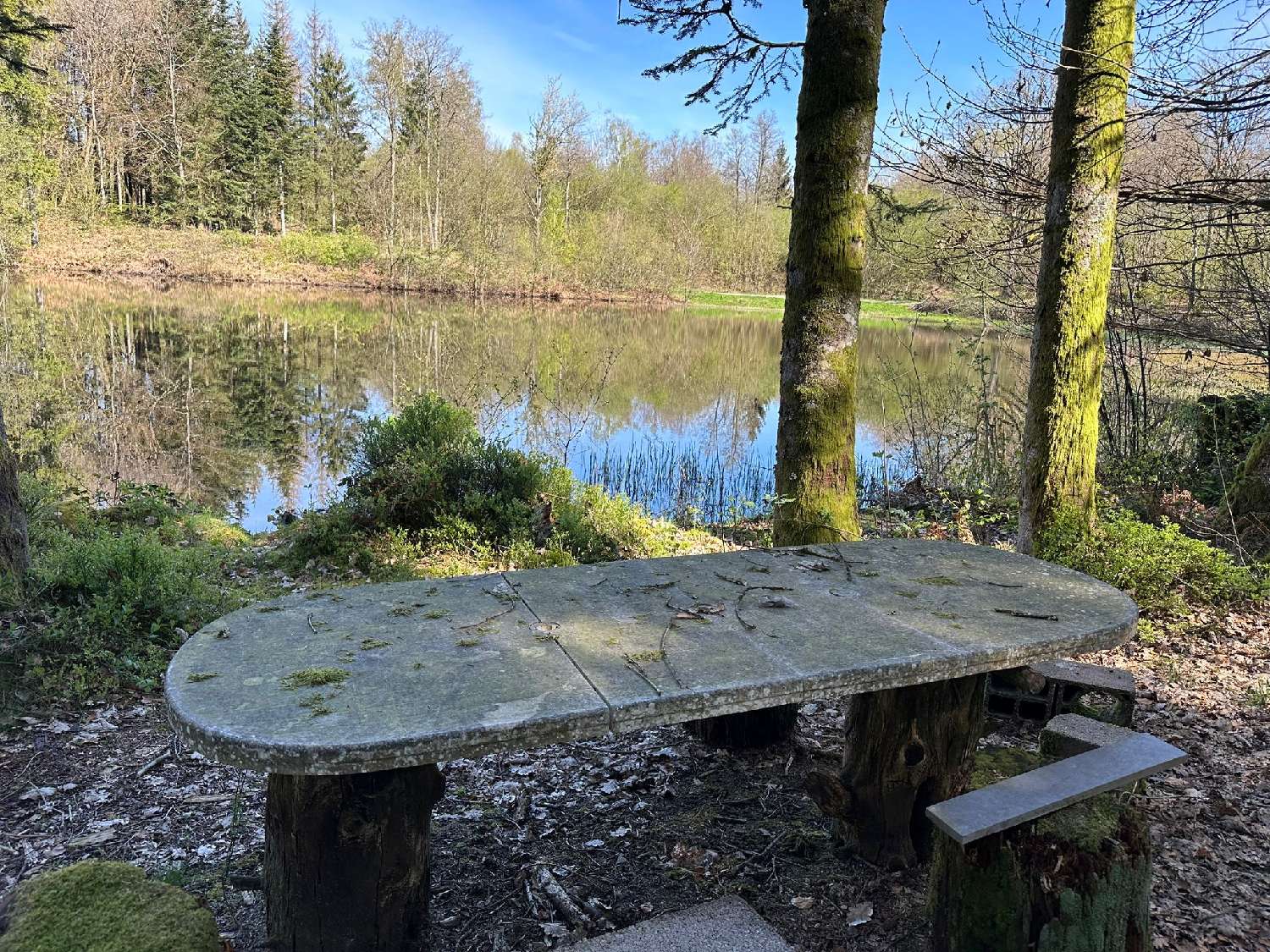 te koop terrein Servance Haute-Saône 7