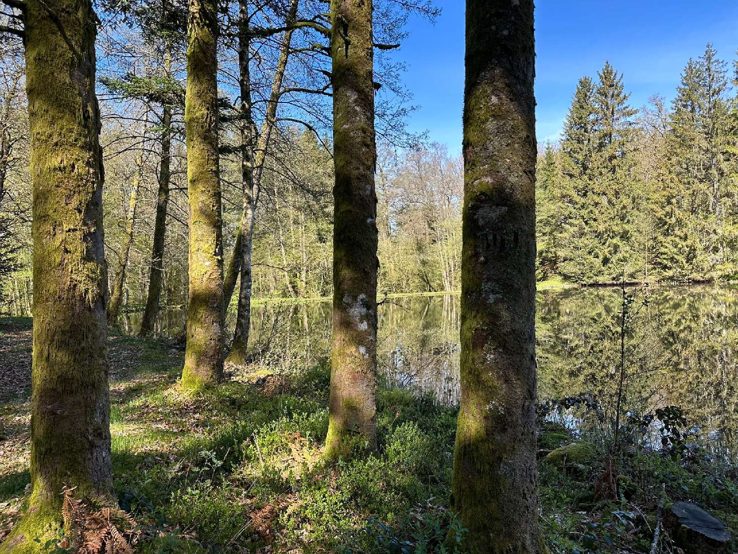 te koop terrein Servance Haute-Saône 8