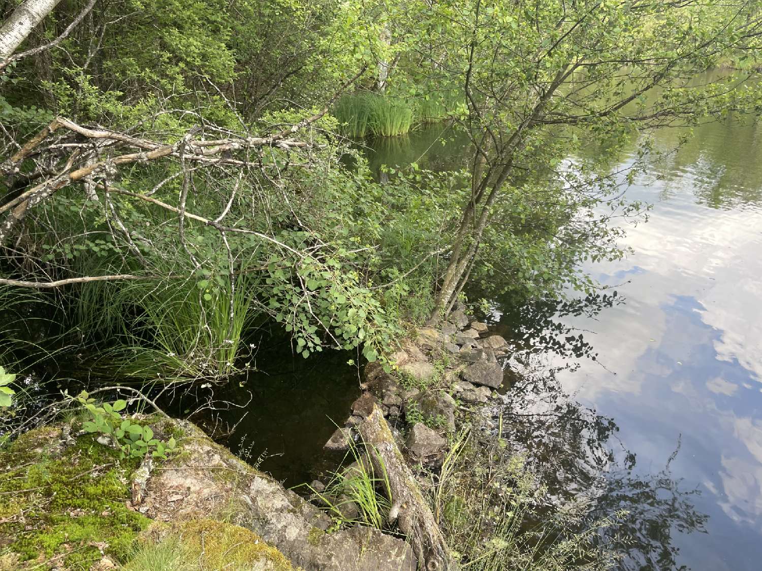  en venta terreno Servance Haute-Saône 2