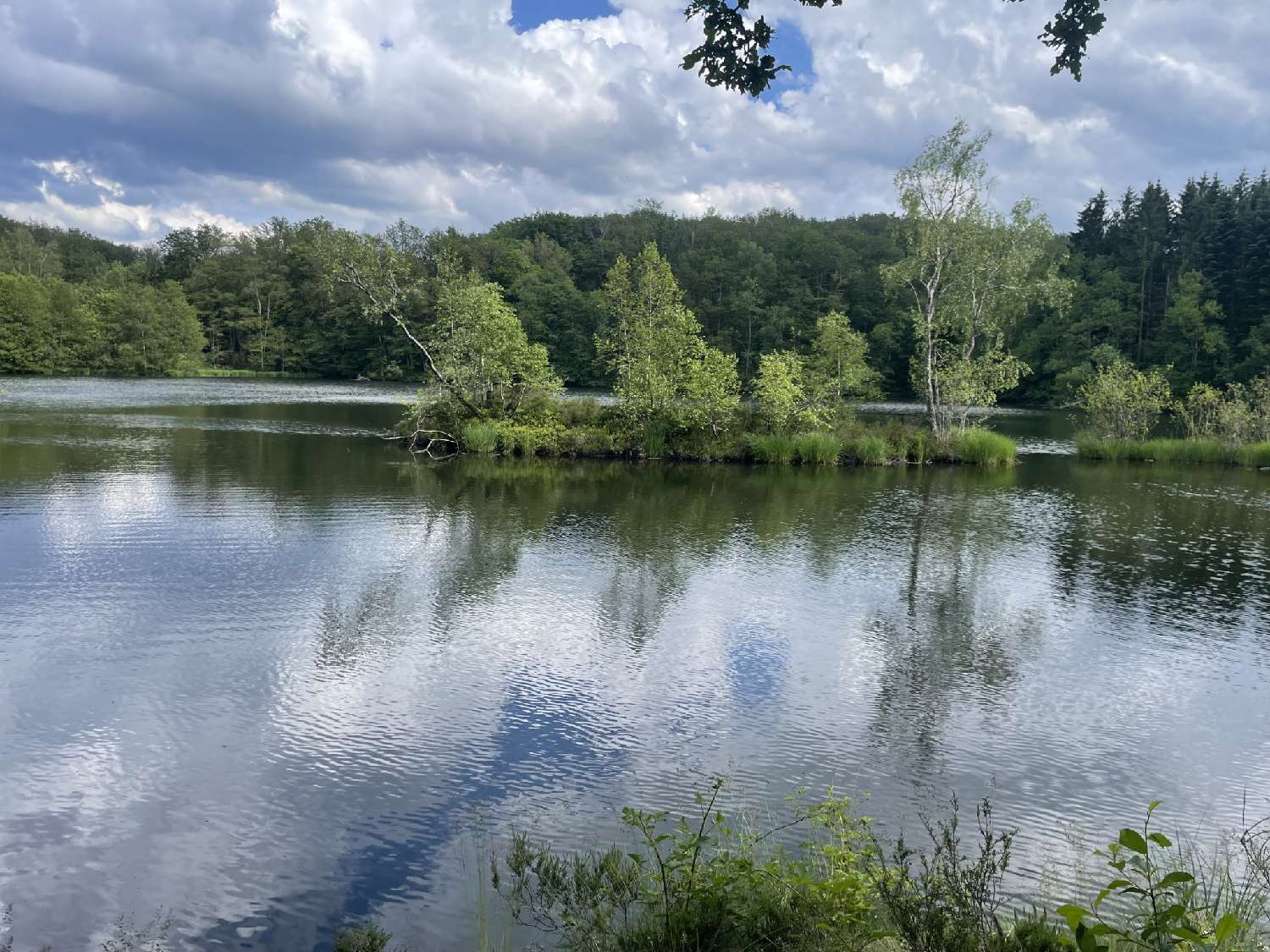  en venta terreno Servance Haute-Saône 4