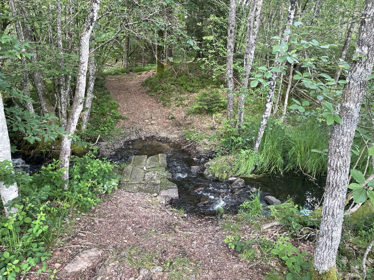  en venta terreno Servance Haute-Saône 5