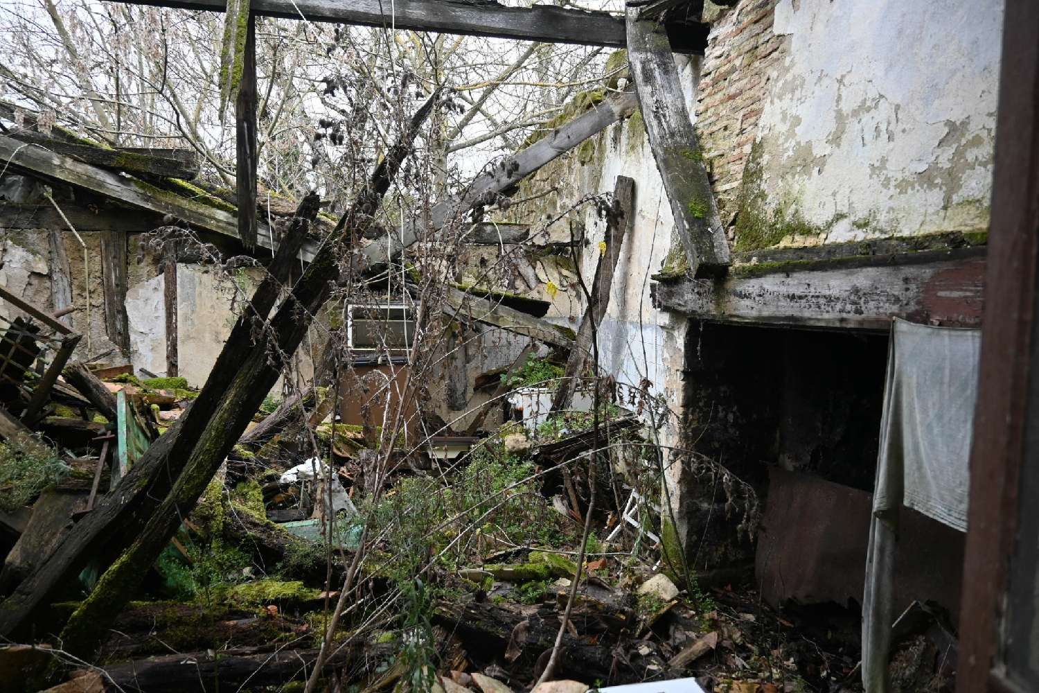 à vendre terrain Seyches Lot-et-Garonne 5