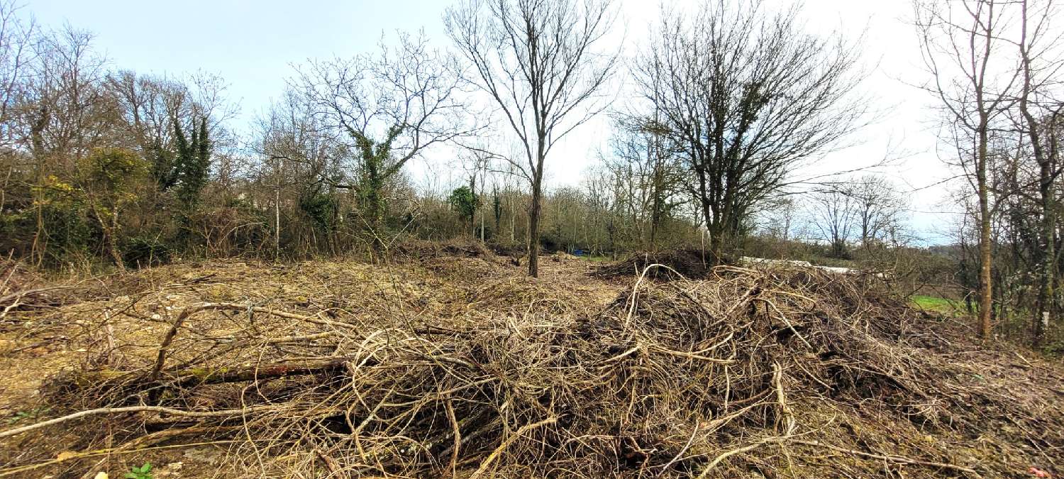  kaufen Grundstück Soignolles-en-Brie Seine-et-Marne 1