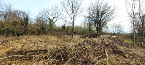 Soignolles-en-Brie Seine-et-Marne Grundstück Bild 7201280